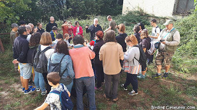 Grup gaudint de l'anellament