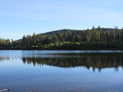 Lassen Volcanic National Park California birding