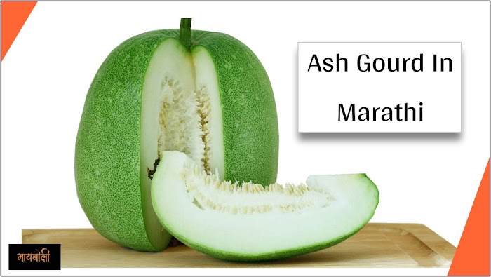 Ash Gourd In Marathi - Name, Benefits, Side Effects & Everything