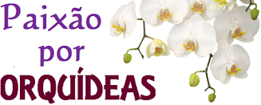 Blog das Orquídeas