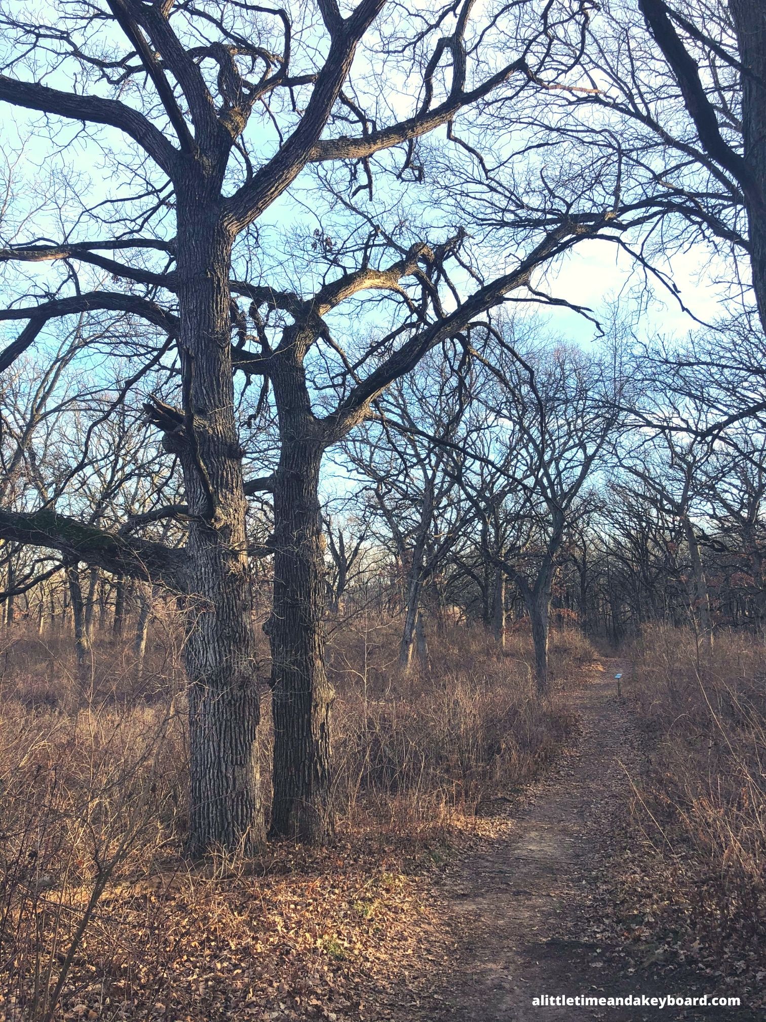 A Little Time and a Keyboard Rolling Trails and Mini Boulders at