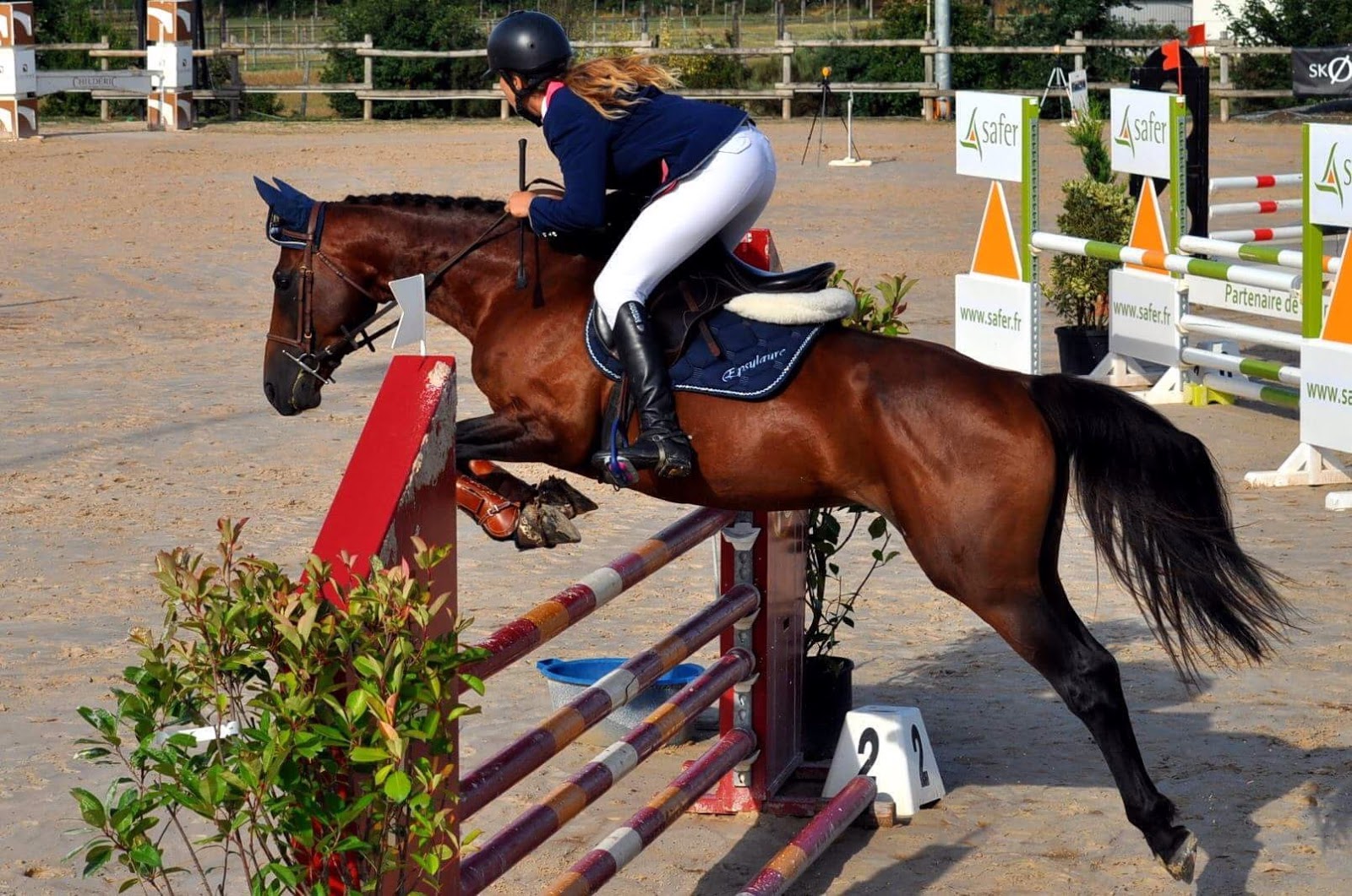 JUMPING - DRESSAGE - EVENTING
