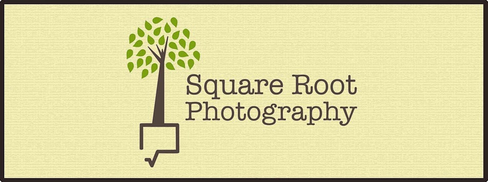 Square Root Photography