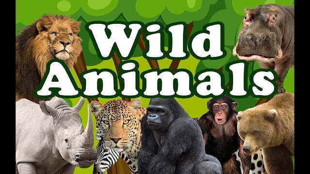 10 Lines on Wild Animals in English | Few Important Lines on Wild Animals in English