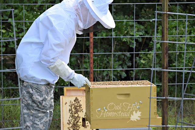 Basic equipment for beginning beekeepers: what to buy and how to save money. From oakhillhomestead.com