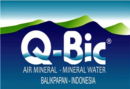 Q-BIC