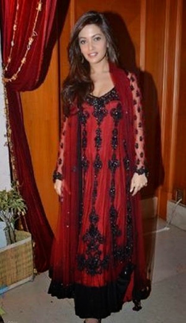 Bollywood Celebrities Anarkali Dresses 201415 Bollywood Celebrities