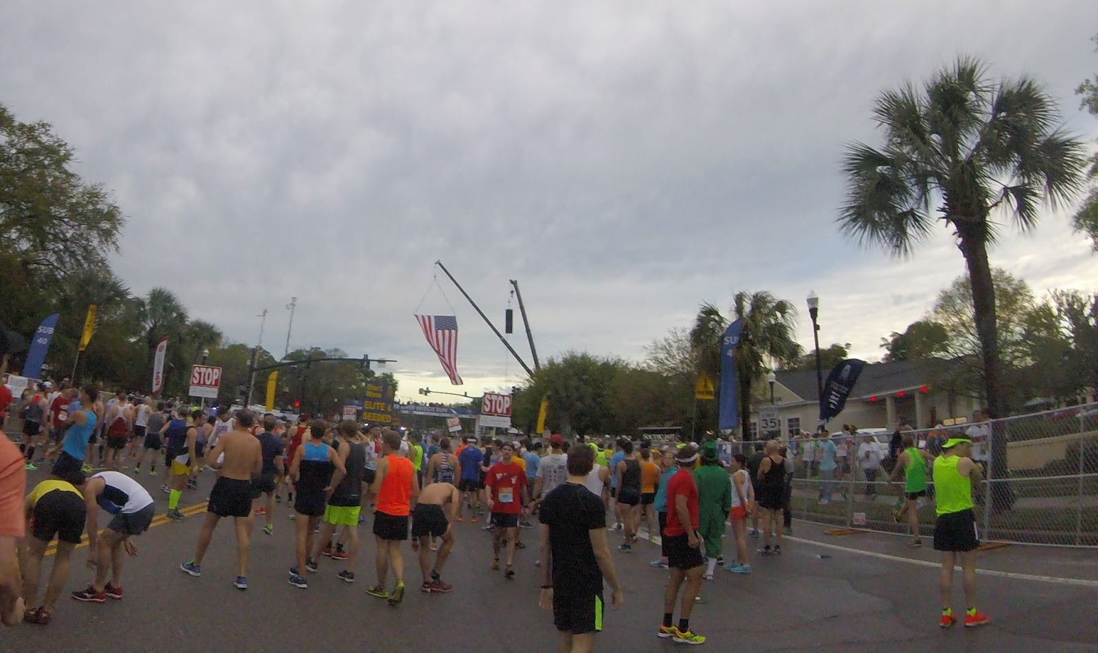 Tri Runner Rick Charleston Bridge Run Race Report