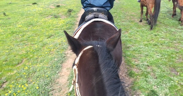 RDO Melbourne Uncle Nev�s Trail Rides, Upper Plenty