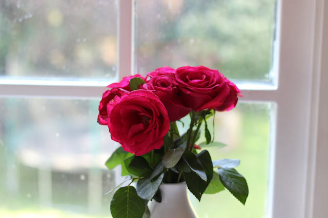 Giving it another go.