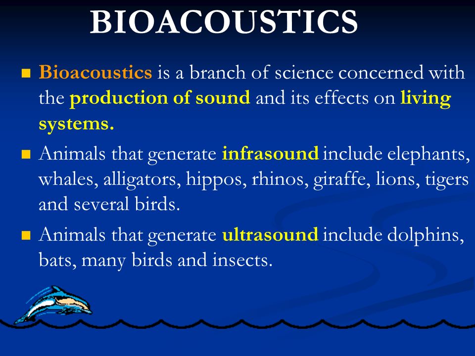 Southern Sasquatch Expeditions Animal Communications Infrasound Ultrasound
