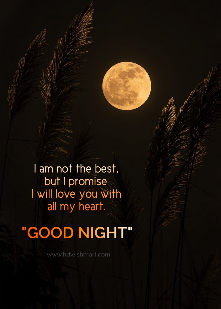 good night greetings