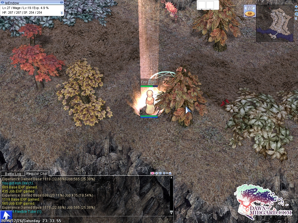 my-life-in-ragnarok-adventures-on-dom-day-1