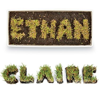 Grow Your Own Name