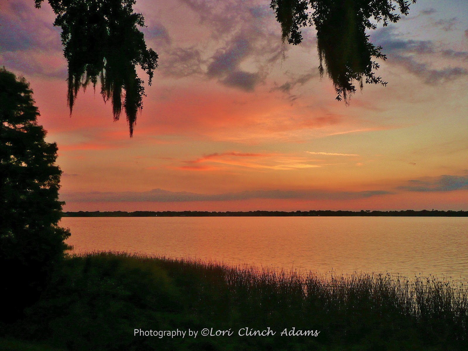 Lake Howard, Winter Haven, Florida