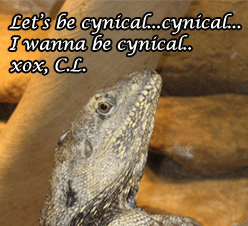 Let Cynical Lizard Be Your Spiritual Guide