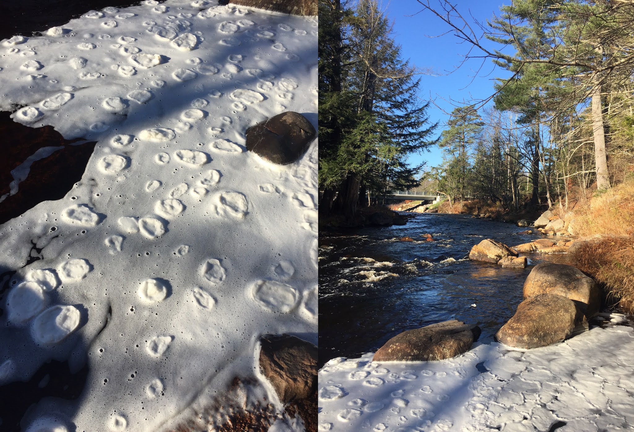Otto's Abode WANAKENA WEEKLY 92 11/04/21 11/10/21