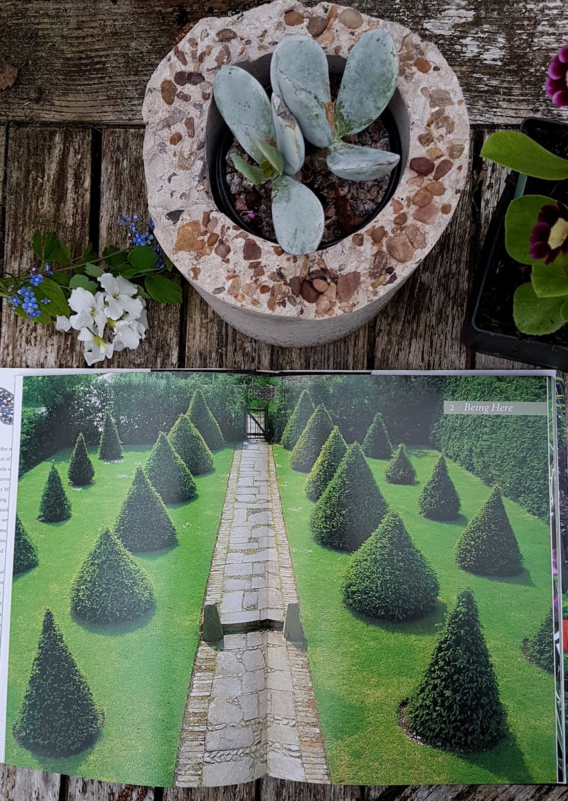 Book Review The Jewel Garden by Monty and Sarah Don