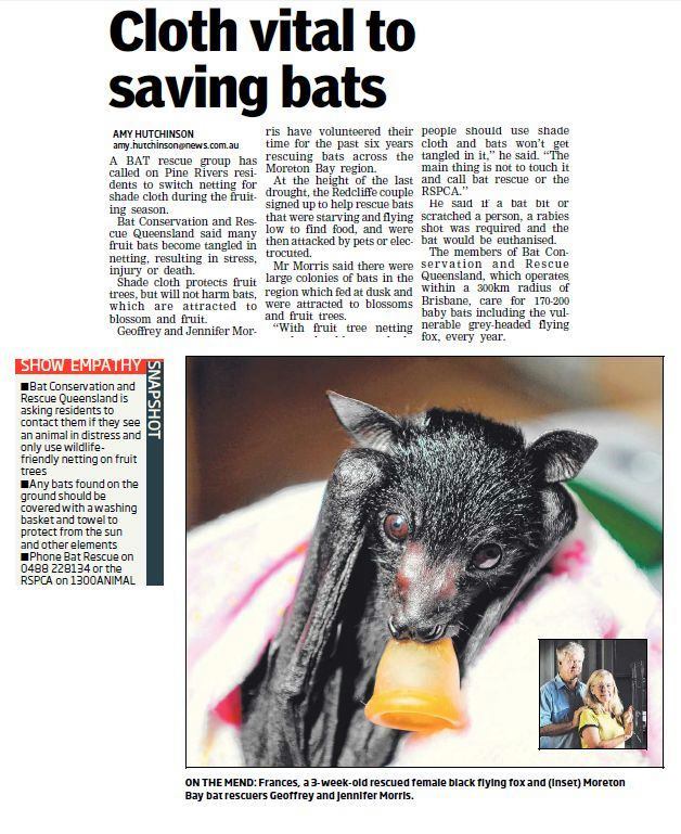 Netting | Cloth vital to saving bats