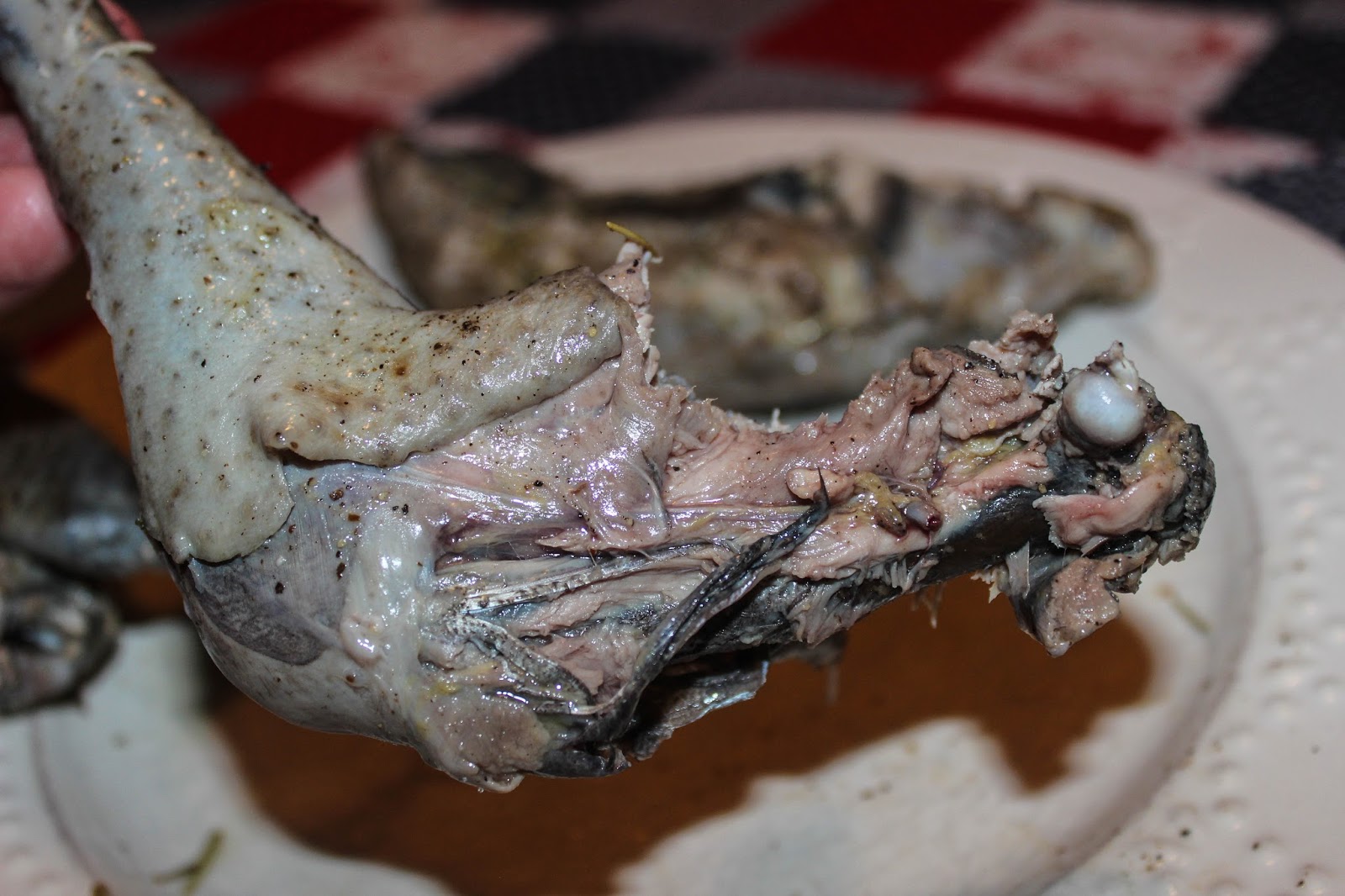 Download Ayam Cemani Chicken Bones Pictures