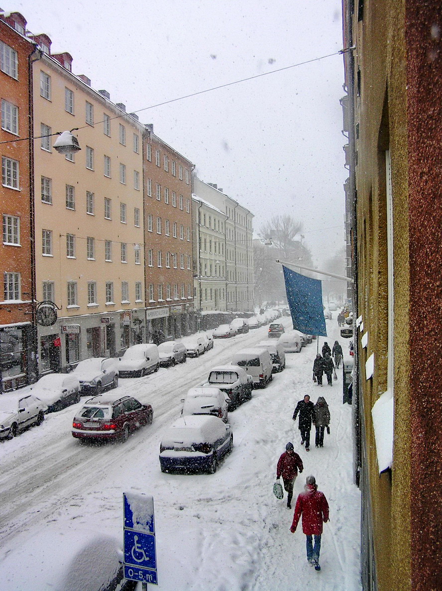 VINTER I BJÖRNIDET