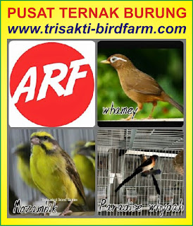 TRISAKTI BIRD FARM