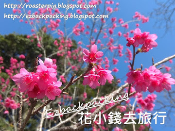 沖繩是日本中櫻花最早開花的地方，最早1月就開始有櫻花看，沖繩櫻花主要為緋寒櫻/寒緋櫻，顏色為桃紅或紫紅色，與一般日本櫻花，如染井吉野的淡粉紅色的櫻花有些不同。沖繩也有種植染井吉野，據說位於沖繩中部的琉球大學也有，但因為沖繩的氣溫高，在這邊的染井吉野櫻花樹是不會開花。賞櫻勝地主要在...