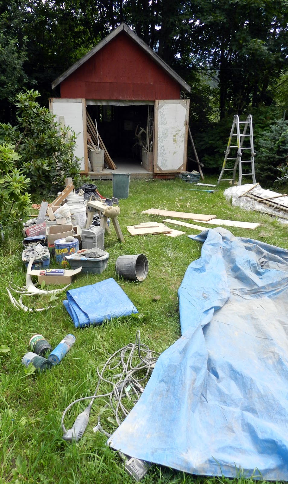 Elfshot Cleaning out the shed
