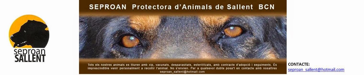 SEPROAN - PROTECTORA D'ANIMALS DE SALLENT
