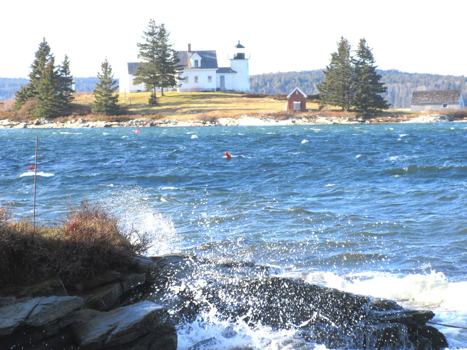 EARLY WINTER ON LITTLE DEER ISLE
