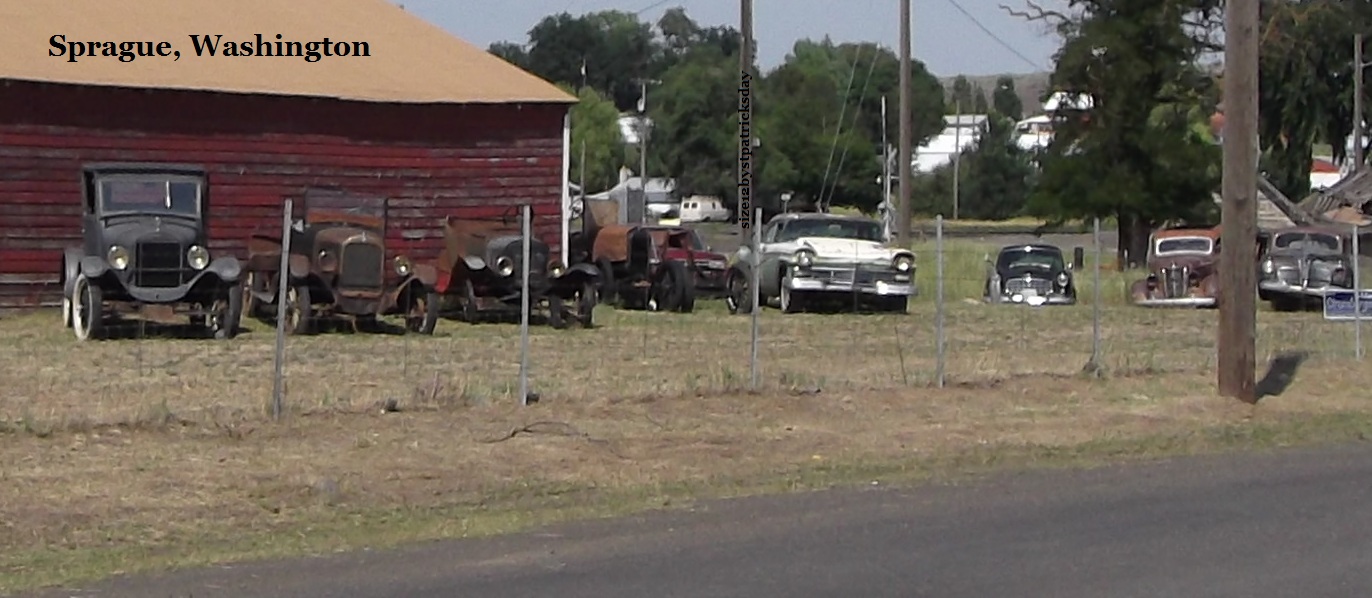 Size 12 by St Patrick's Day! 149.4 Sprague, Washington State