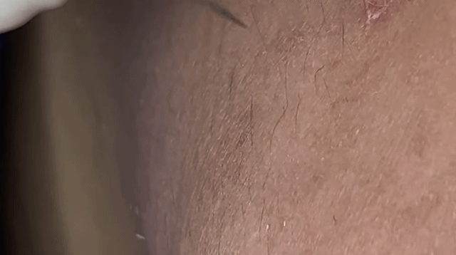 929d24bae5c0e3b4560f5449cc1699f484ef6031