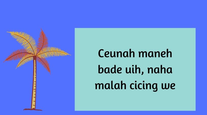 Ini Arti Kata Ceunah Dalam Bahasa Sunda yang Sekarang Viral - Blog