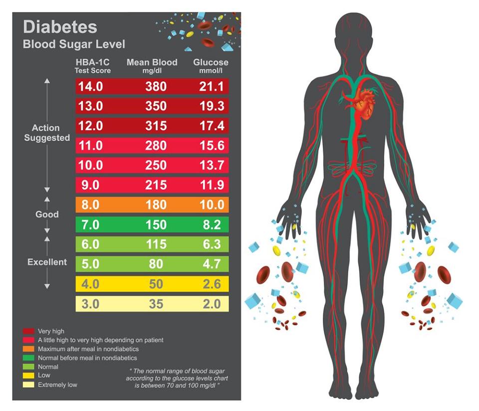 what-is-blood-sugar-blood-sugar-level-chart-symptoms-and-risk-factors-makeup-vine