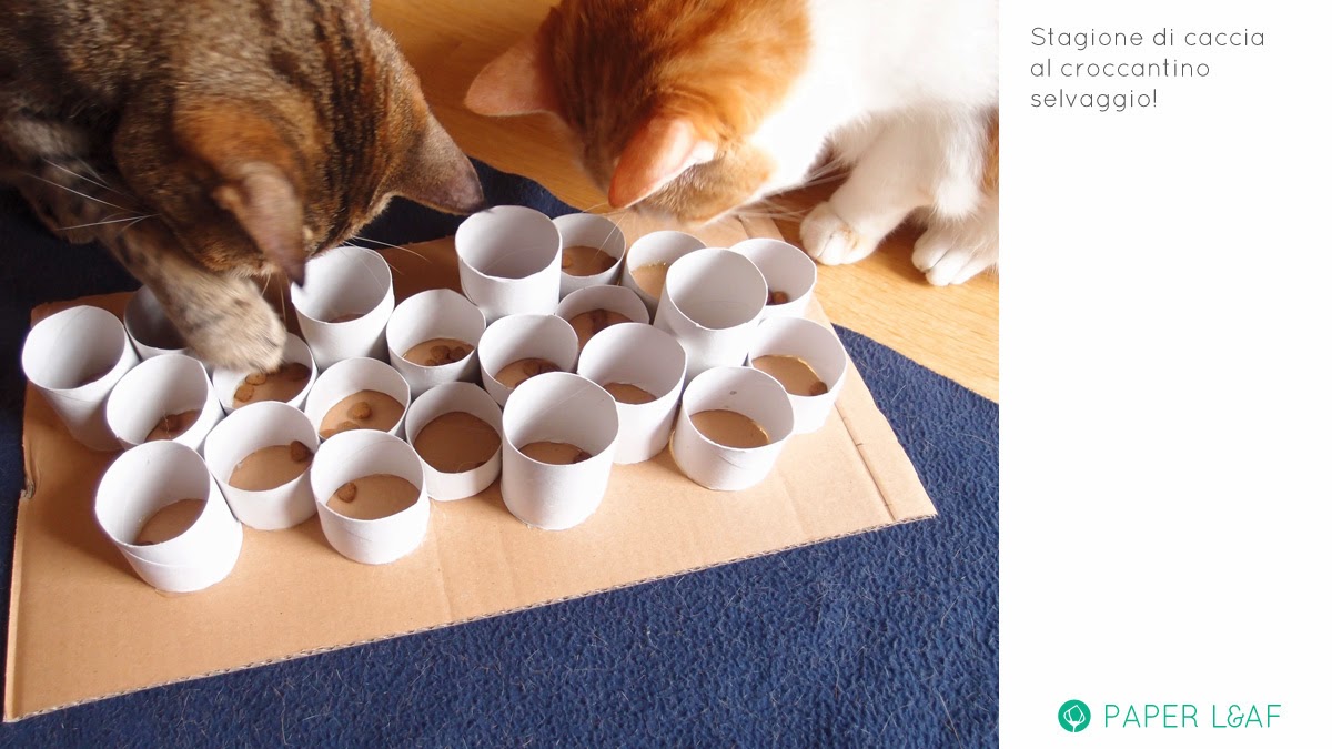 Paper Leaf DIY for cat feeding game station