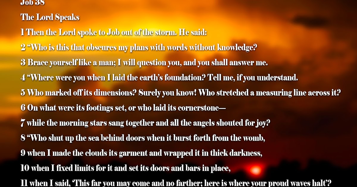 God'sBigShow Mountain Mover · The Punches