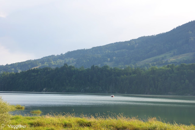 Uno dei tanti laghi in Svizzera: Lago di Gruyere