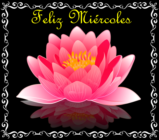 Resultado de imagen de feliz miercoles