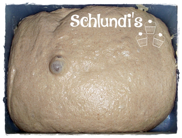 Netzbrot – Eingenetztes – Schlundis