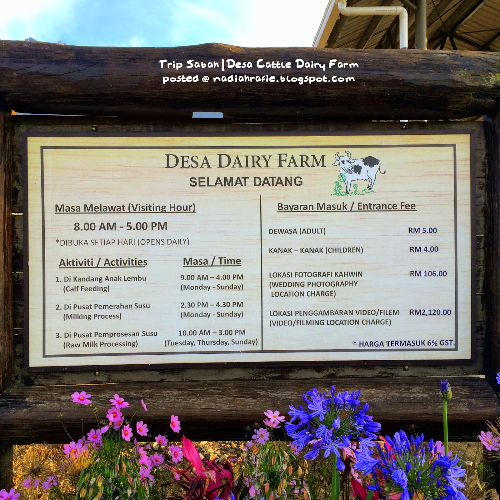 Blog Siapa Ini? Trip Sabah Desa Cattle Dairy Farm, Kundasang