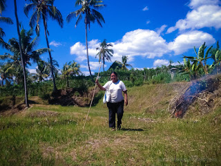 Woman Walking In The Farmlands On A Sunny Day In The Cloudy Blue Sky At The Village Ringdikit North Bali Indonesia