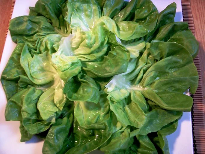 Lettuce on a plate