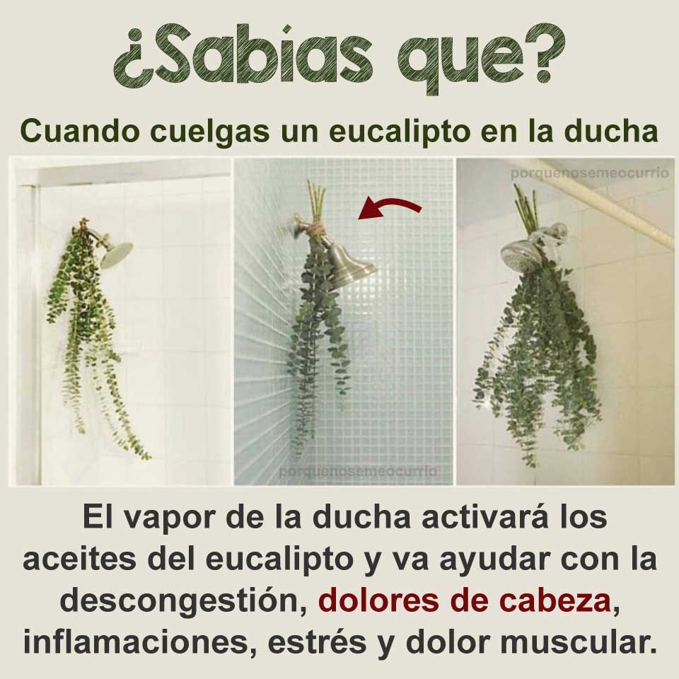 Tips De Belleza Y Salud Esta es la razón por la que deberías incluir