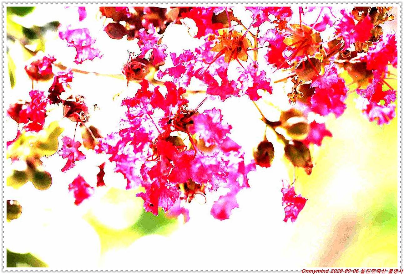 천축산 불영사 천축산 불영사