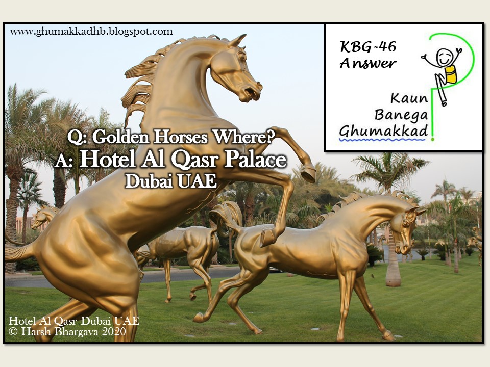 Ghumakkad Harsh Golden Horses of Dubai