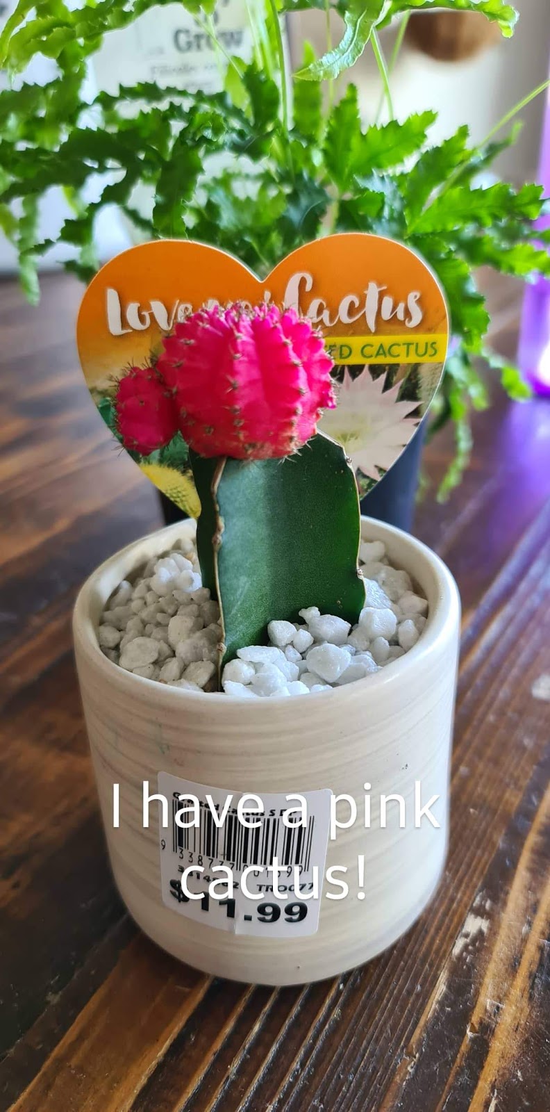 Beautifully Glossy Thoughts of the week