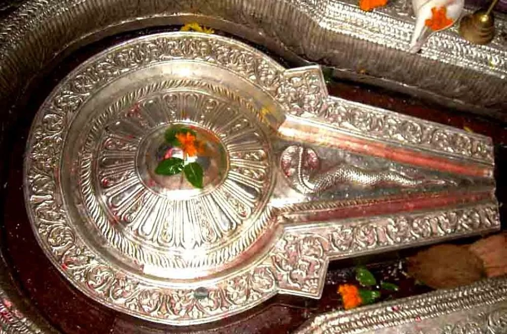 bhimashankar jyotirlinga shivaling