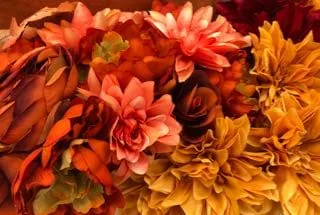 Colorful fall flower collection.
