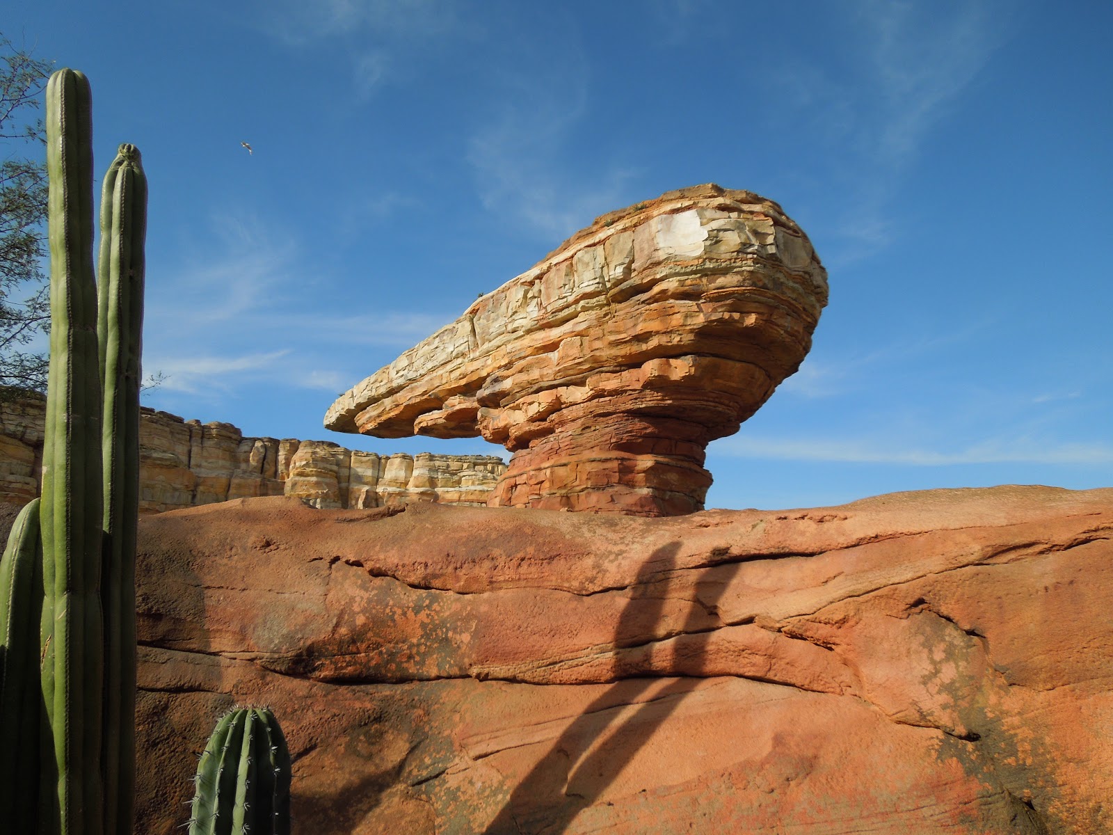 História e Estórias Radiator Springs