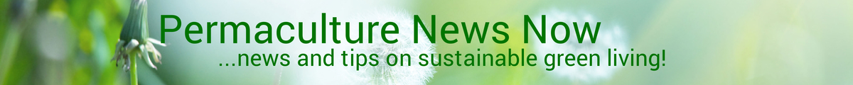 Permaculture News Now ...news and tips on sustainable and regenerative green living!